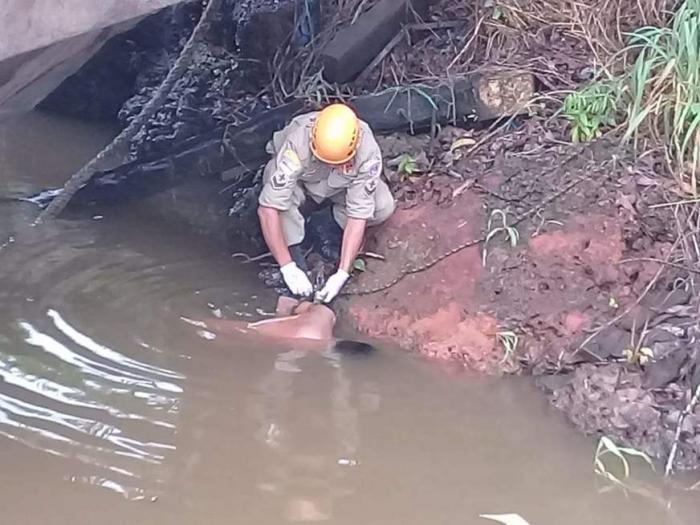 Corpo com cabeça esmagada é encontrado boiando no Rio Amazonas