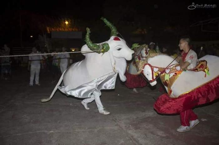 Cumprindo a tradição, Boi Garantido morre nesta quarta-feira (17), na Baixa do São José
