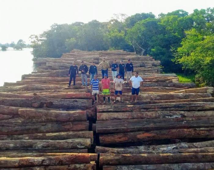 Polícia Civil e Semma de Juruti apreendem duas balsas com mais de mil toras de madeira
