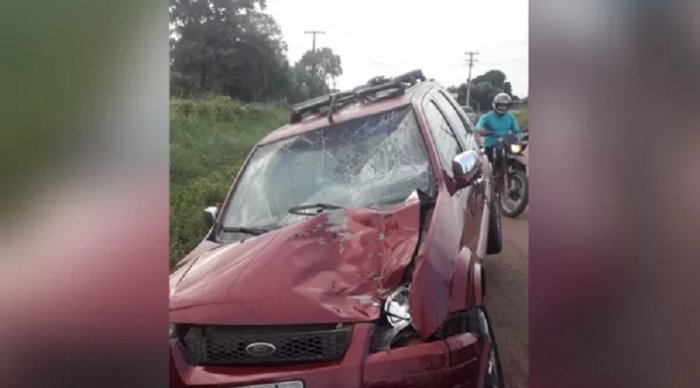 Carro do radialista Armando Carvalho colide com cavalo em estrada de Santarém-PA