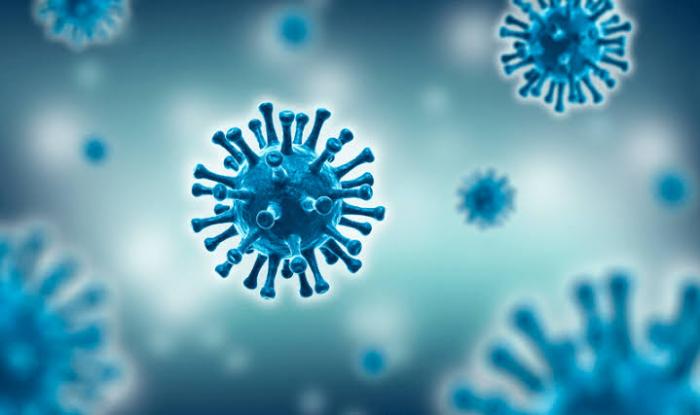 Pesquisa: contaminados por coronavírus podem ser 85 vezes maior