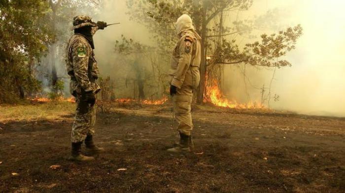 Força Nacional de Segurança Pública reforça combate a crimes ambientais na Amazônia Legal