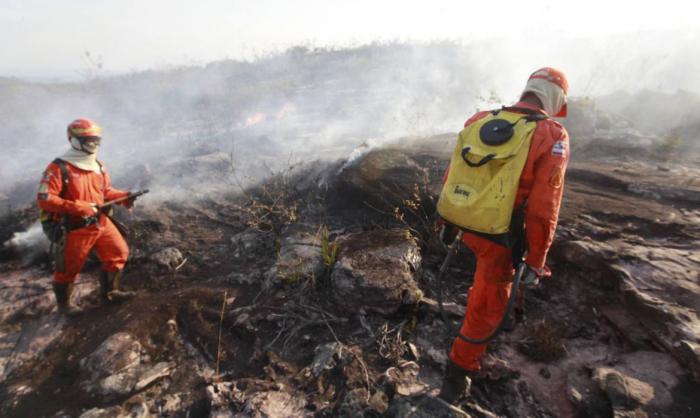 Ibama é autorizado a contratar temporariamente 1.659 profissionais
