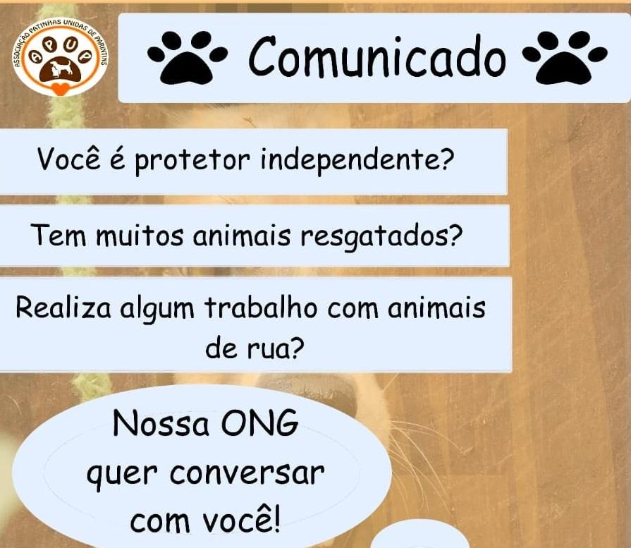 Associação Patinhas Unidas convoca protetores de animais de rua para parcerias