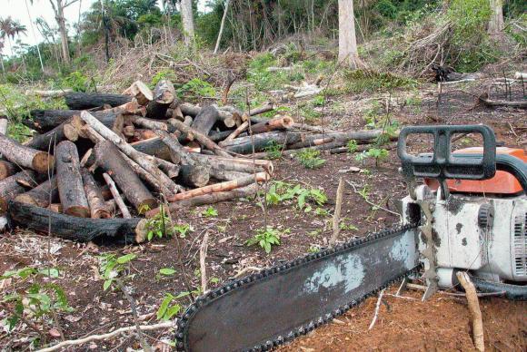 Desmatamento na Amazônia atinge o segundo pior patamar em cinco anos