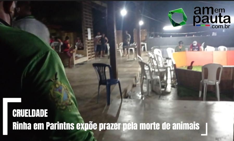 FESTA DA MORTE: Assista na íntegra ação que encerrou vergonhosa rinha de galo em Parintins
