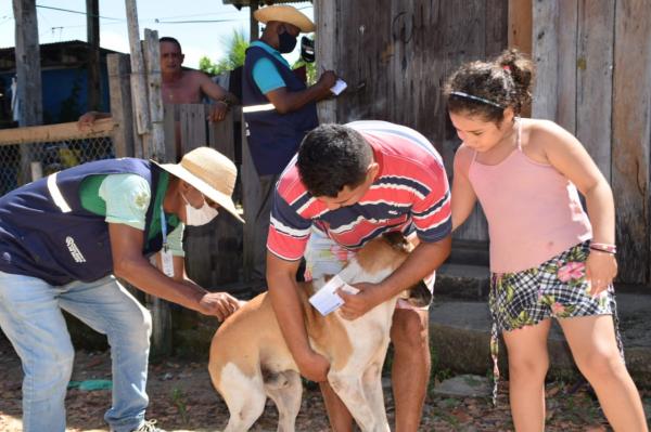 Parintins avança com campanha antirrábica de cães e gatos casa a casa
