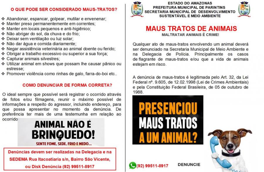 Parintins inicia campanha de sensibilização para proteção de animais contra maus tratos