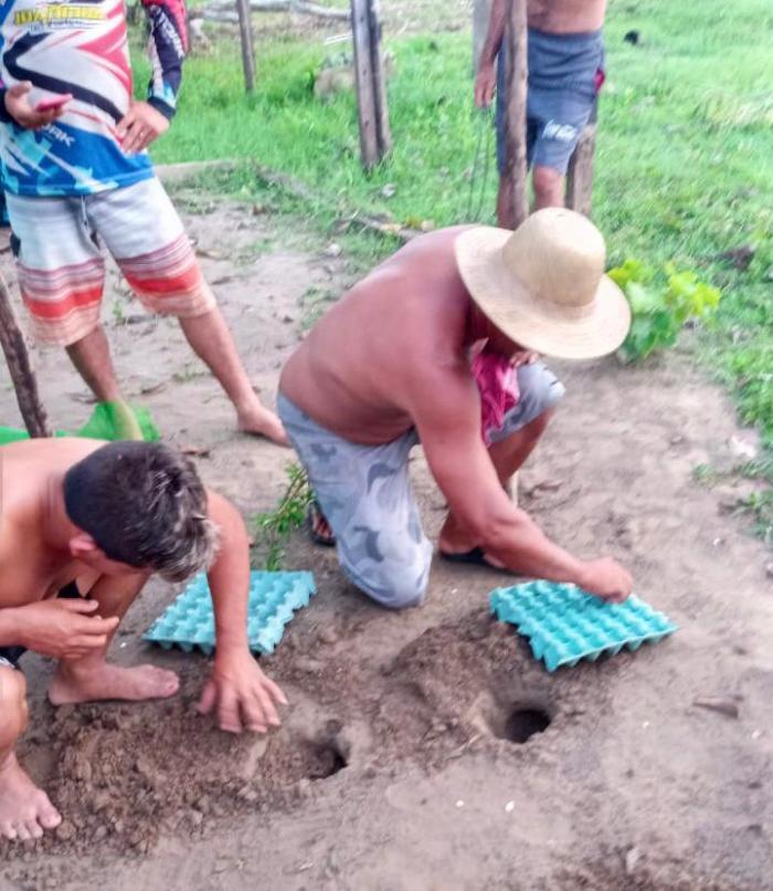 Manejo de quelônios no Macuricanã ganha apoio do município de Parintins 