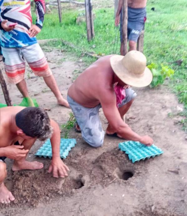 Manejo de quelônios no Macuricanã ganha apoio do município de Parintins 