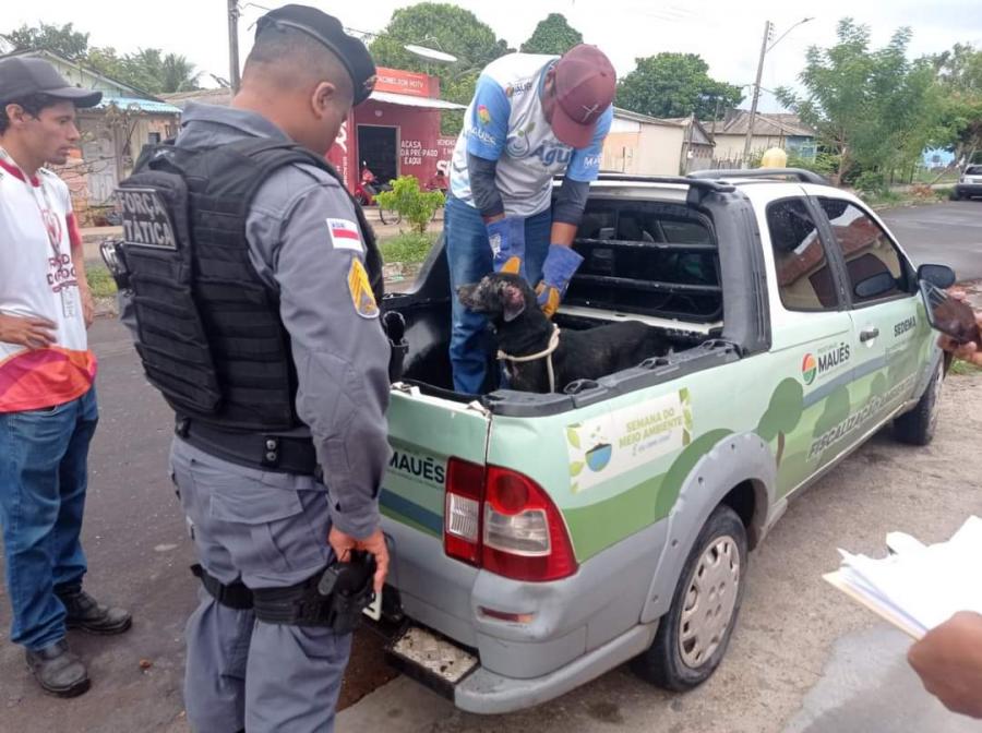 Polícia Militar e Sedema resgatam cão em situação de mais tratos