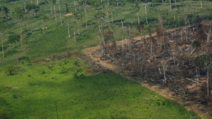 Desmatamento na Amazônia tem a maior taxa em 15 anos