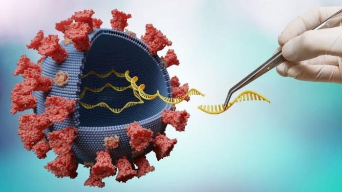 COVID: o que se sabe sobre nova variante detectada na África do Sul