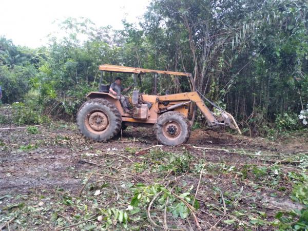 Prefeitura de Parintins prepara 30 hectares de áreas no Laguinho para o plantio 