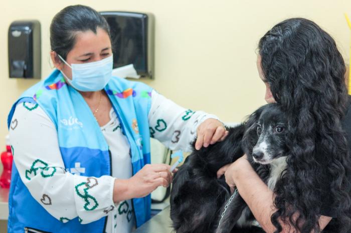 Prefeitura de Manaus inicia vacinação antirrábica de cães e gatos em domicílio na zona Leste 