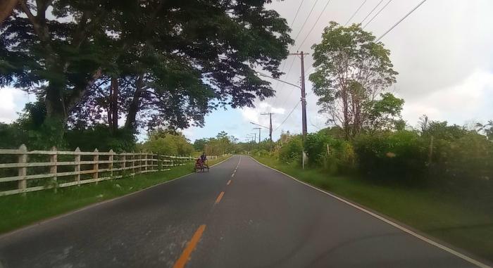 Tarado 'toca' partes íntimas e derruba ciclista em estrada de Parintins Tarado 'toca' partes íntimas e derruba ciclista em estrada de Parintins
