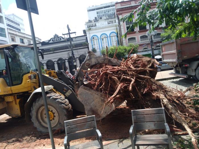 Prefeitura de Manaus realiza corte e poda de árvores com risco de tombamento na avenida Eduardo Ribeiro