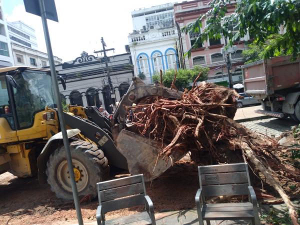 Prefeitura de Manaus realiza corte e poda de árvores com risco de tombamento na avenida Eduardo Ribeiro
