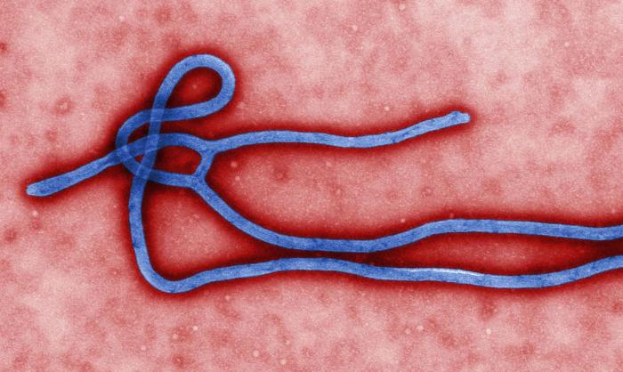 Novo surto de ebola atinge o Congo