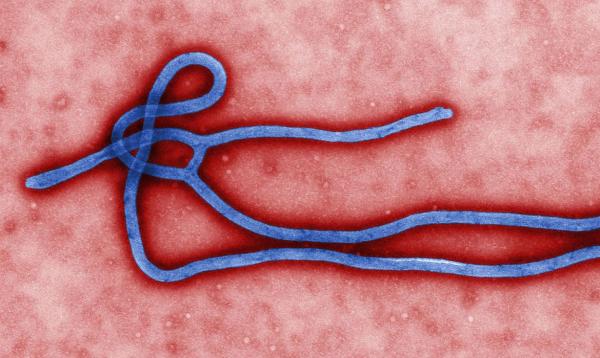 Novo surto de ebola atinge o Congo