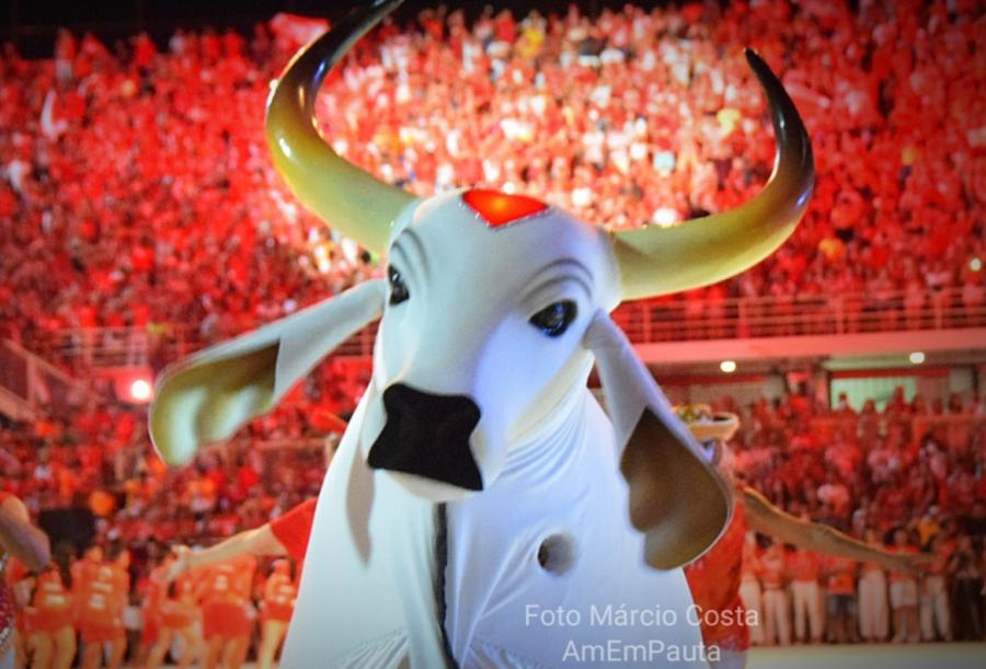 ACOMPANHE: Galera 'não perdoa' primeira noite de apresentação do Boi Garantido