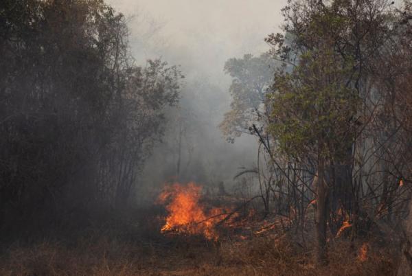 Com mais de 3,3 mil focos de incêndio, Amazônia tem pior dia de queimadas em 15 anos, aponta Inpe