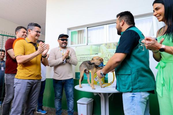 David Almeida anuncia início da campanha de Vacinação Antirrábica Animal