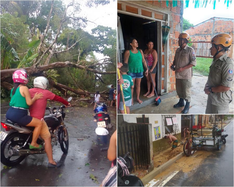 Chuva forte faz estragos em Parintins com derrubadas de árvores e inundações