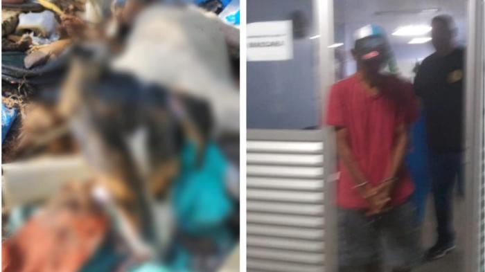 OUÇA: Homem que matou cachorrinha já havia tentado abandonar pequeno animal na lixeira pública