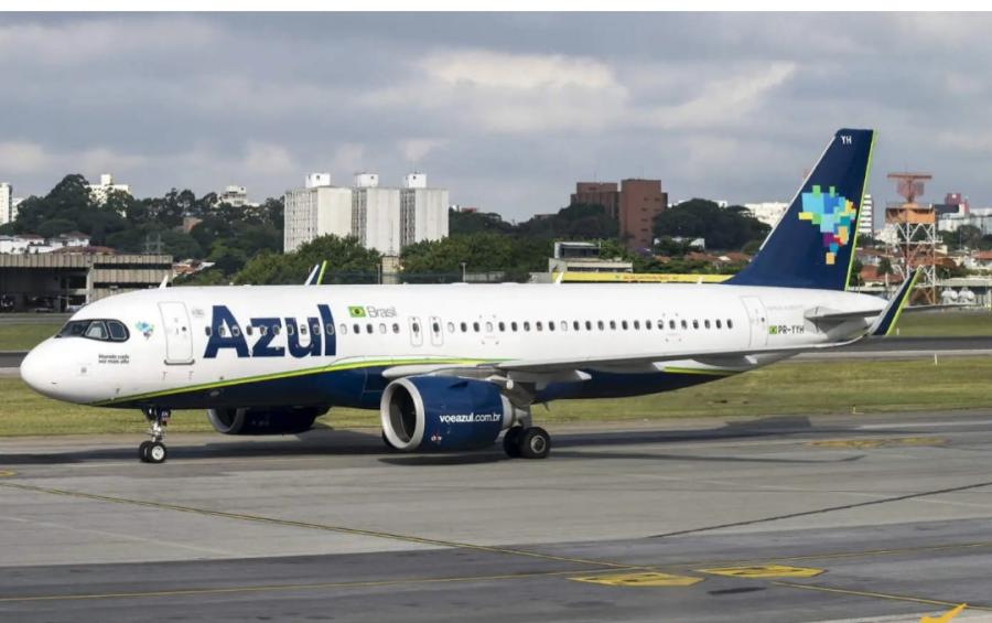 Azul passa a transportar cães e gatos com até 10kg na cabine