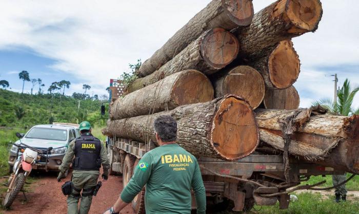 IBAMA: Grupo vai fiscalizar fraudes em sistemas de controle florestal