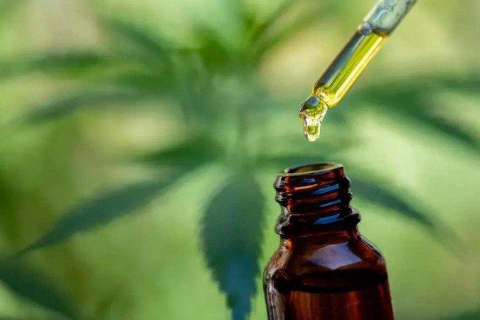 SP sanciona lei que permite distribuição de remédios à base de cannabis pelo SUS