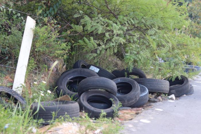 Jander Lobato viabiliza recolhimento de pneus em rua do bairro de Flores