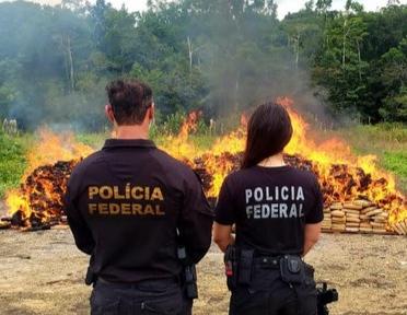 PF destrói cerca de duas toneladas de drogas