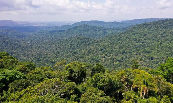 Ministro norueguês diz que Brasil voltou a ser liderança ambiental