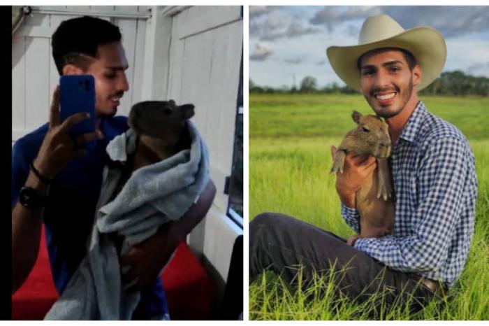 Ibama multa 'pai' da capivara Filó e exige devolução do animal