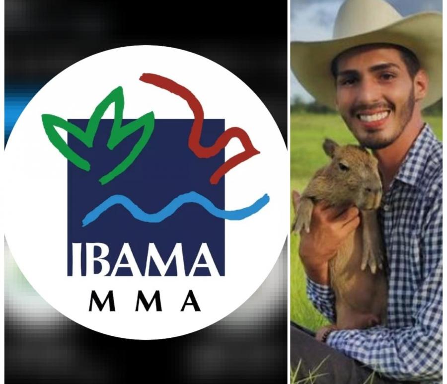 CASO FILÓ: Ibama emite nota e afirma que Animal silvestre não é pet