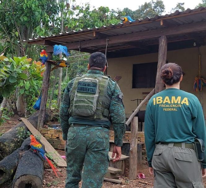 Ibama apreende 26 animais silvestres usados como atração turística em sítio no AM