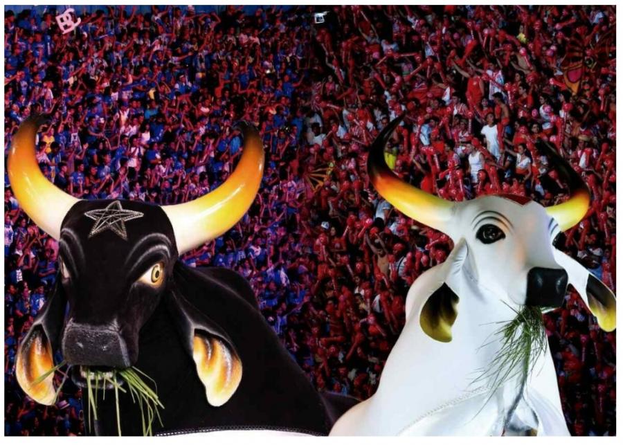 Definida empresa e prazos para construção do Museu dos Bois de Parintins