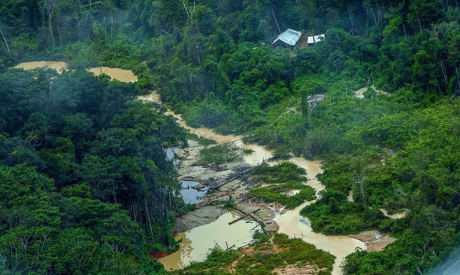 Ataque a tiros em aldeia yanomami mata criança e deixa cinco feridos