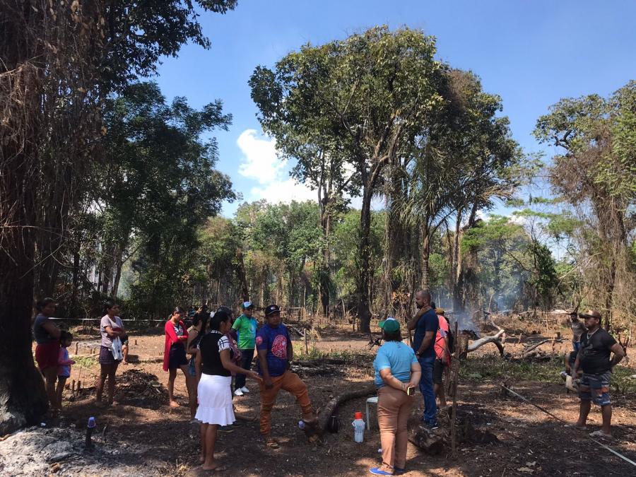 CRIME AMBIENTAL: Sedema constata queimadas e mortes de animais em nova invasão de Parintins 