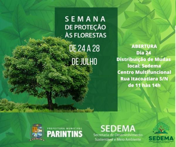 Parintins promove ações ambientais e distribuição de mudas na Semana de Proteção das Florestas 