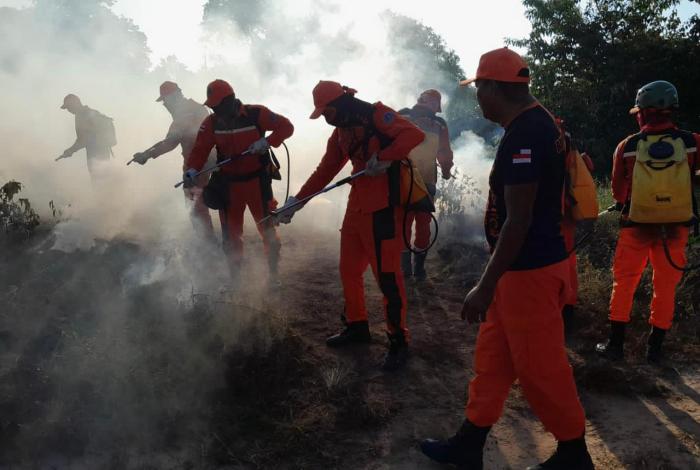 PARINTINS: Turmas do Curso de Bombeiro Civil participam de treinamento para combater incêndios florestais 