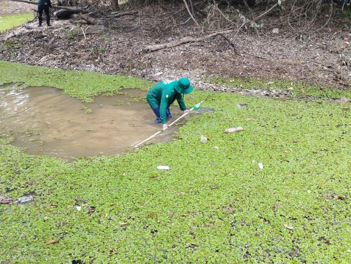 MALÁRIA: Amazonas apresenta redução de 5,6% dos casos
