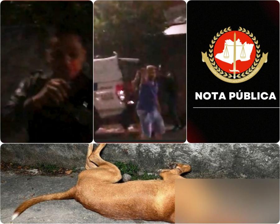 CASO BETHOVEN: Situação de policial que matou cachorro a tiros em Manaus se complica 