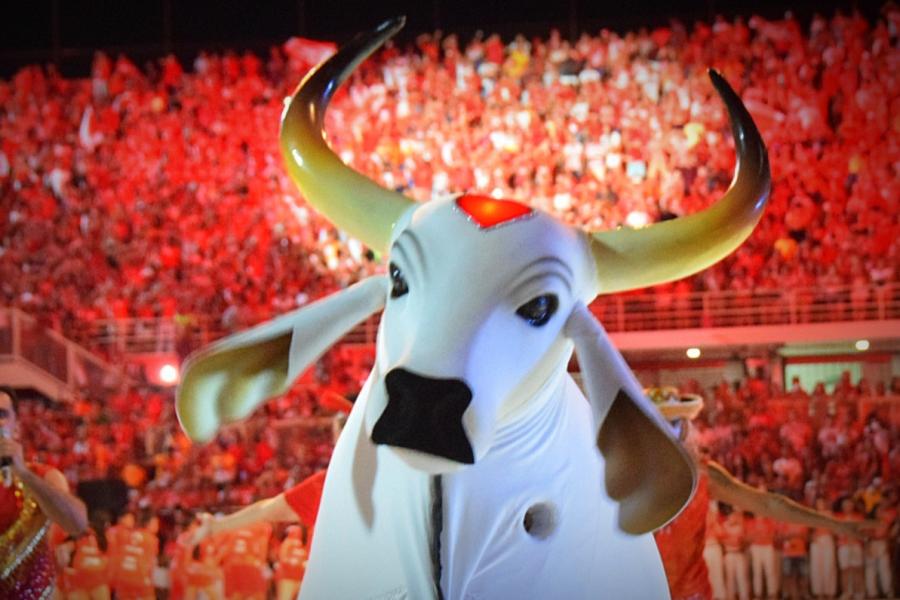 Com apenas seis dias de Nova gestão, Boi Garantido lança tema 2024 neste sábado