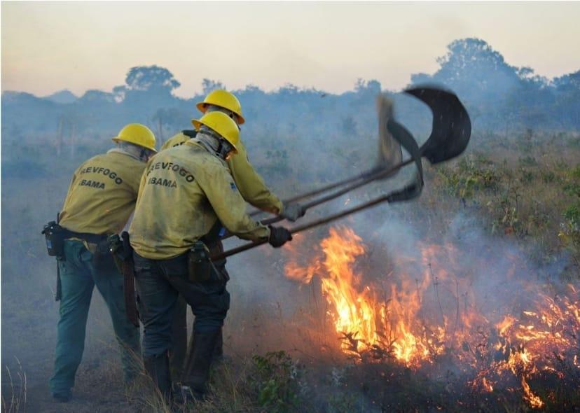 IBAMA envia brigadistas para combate ao fogo e fumaça na região metropolitana de Manaus.