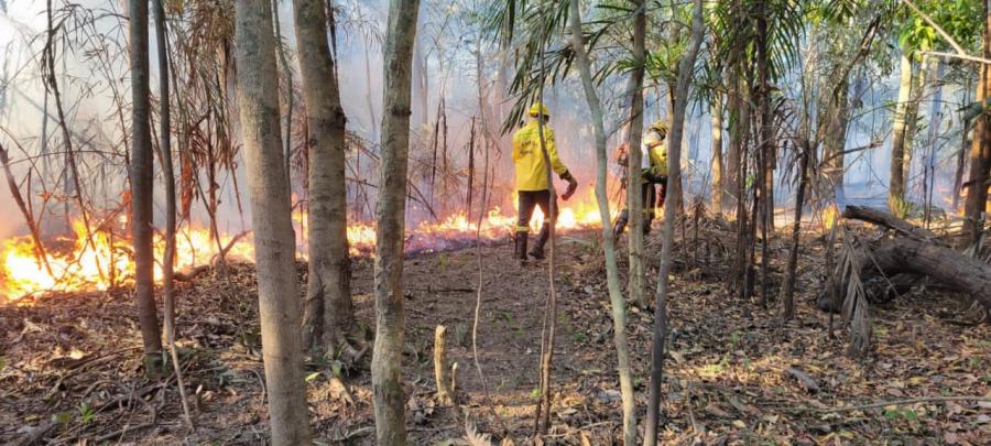 PREVFOGO inicia combate direto a incêndio no Amazonas 