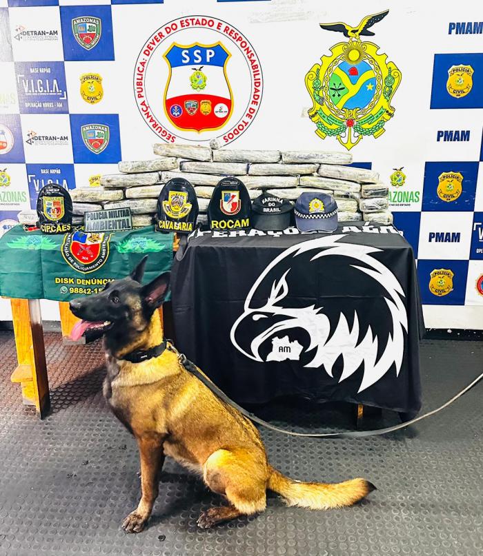 BASE FLUVIAL ARPÃO: SSP-AM e PMAM apreendem droga avaliada em R$800 mil em Coari BASE FLUVIAL ARPÃO: SSP-AM e PMAM apreendem droga avaliada em R$800 mil em Coari
