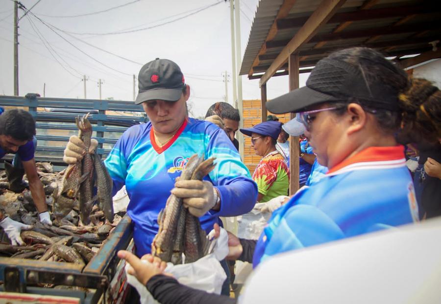 'Foi Deus quem providenciou', diz moradora de Parintins após receber pescado da Prefeitura 